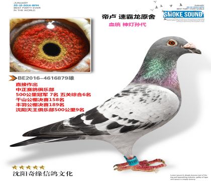 ��¬ �ٰ���ԭ�ᣨ�ƽ���ԣ�����