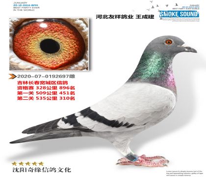 �����ҵ���ɽ����������Ǽ����ɼ��룩