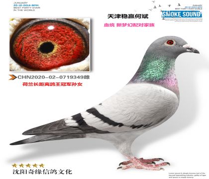 �����Ӯ�α����λ���Լ��壩