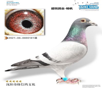 ��Խ����й����ƽ�����������ֲ��ۺ�7������