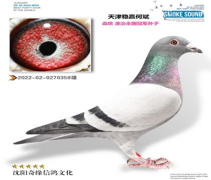 �����Ӯ�α󣨱���ʱ����ȫ���ھ���