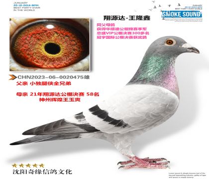 ��Դ����¡�Σ�С�������Ӵ���