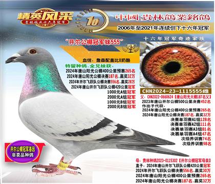 ĸ����������ھ�����