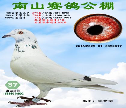 500�������37��