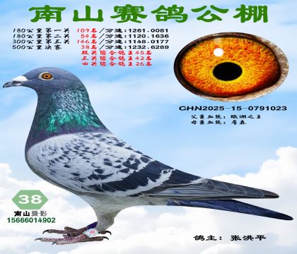 500�������38�����Ĺ��ۺϸ���26��