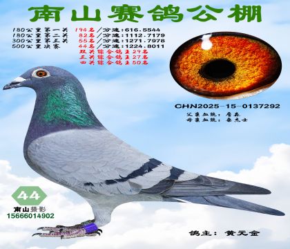 500�������44���������ۺϸ���27��