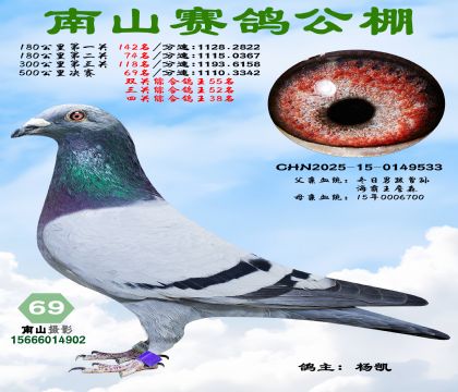 500�������69�����Ĺ��ۺϸ���38��