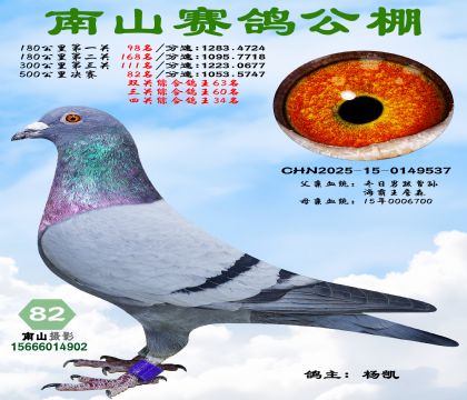 500�������82�����Ĺ��ۺϸ���34��