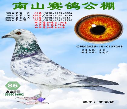 500�������86��