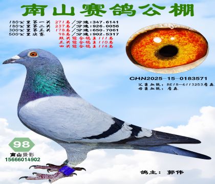 500�������98��