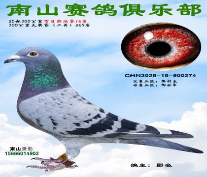 ���������16��