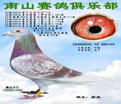 22����������19��