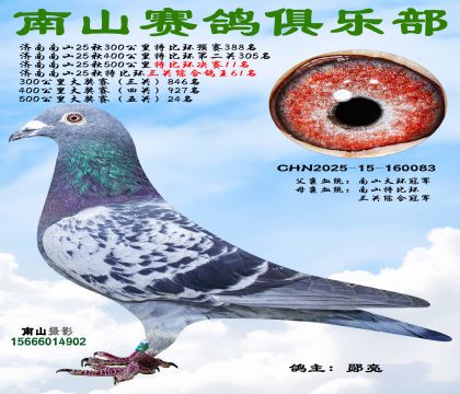 500�����رȻ�����11��