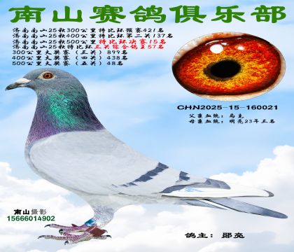 500�����رȻ�����15��