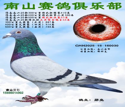 500�����رȻ�����53��