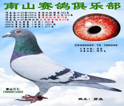 500�����رȻ�����75��