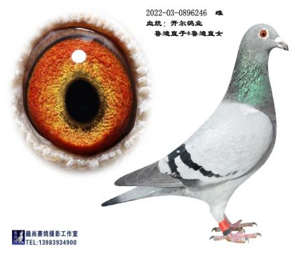 ������³��ֱ��XֱŮ     246