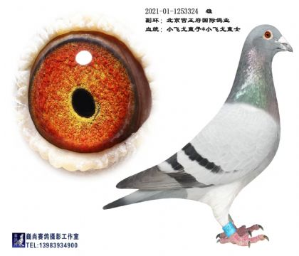 ������������С�ɸ����ֱ��324