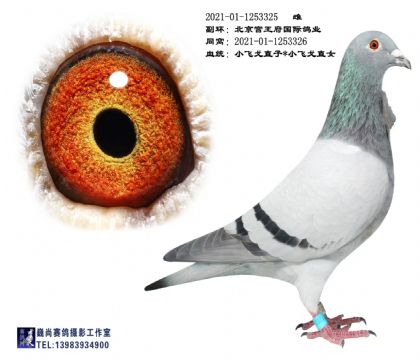 ������������С�ɸ����ֱ��Ů325