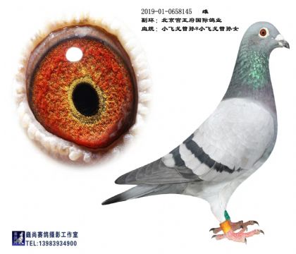 ������������С�ɸ����145