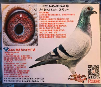 ����:�Ǳ�³�����ֵ�X³��ֱŮ667