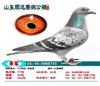 ˳���Ĺظ�������