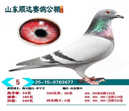 ˳���Ĺظ���5��