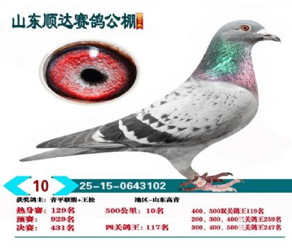 ˳��500����10��