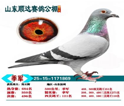 ˳�ﾫӢ������