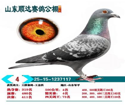 ˳�ﾫӢ��4��