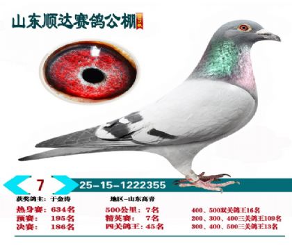 ˳�ﾫӢ��7��