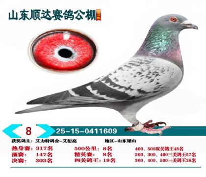 ˳�ﾫӢ��8��