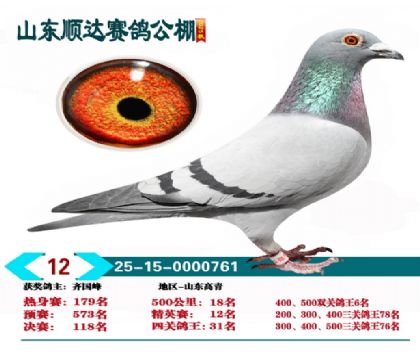 ˳�ﾫӢ��12��