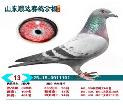 ˳�ﾫӢ��13��