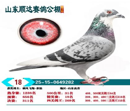 ˳�ﾫӢ��18��