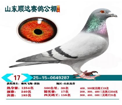 ˳�ﾫӢ��17��