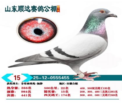 ˳�ﾫӢ��15��