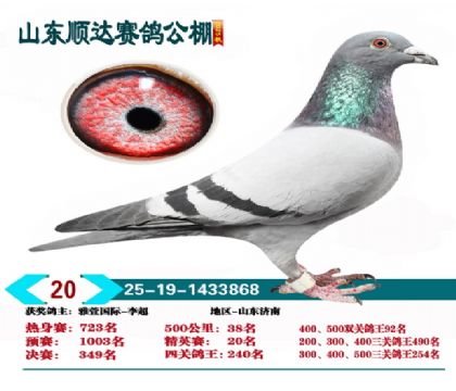 ˳�ﾫӢ��20��