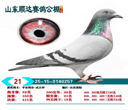 ˳�ﾫӢ��21��