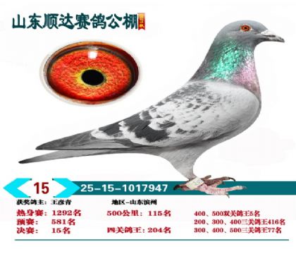 ˳�����15��