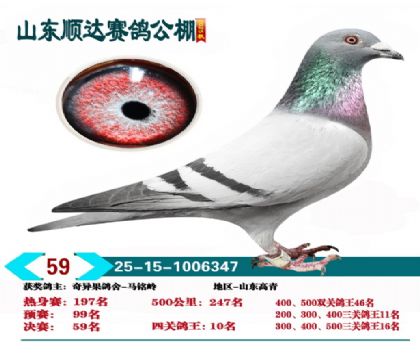 ˳�����59��