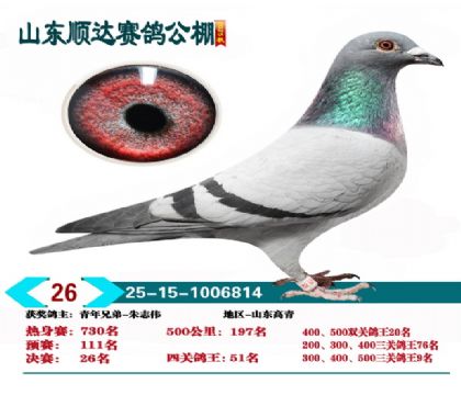 ˳�����26��