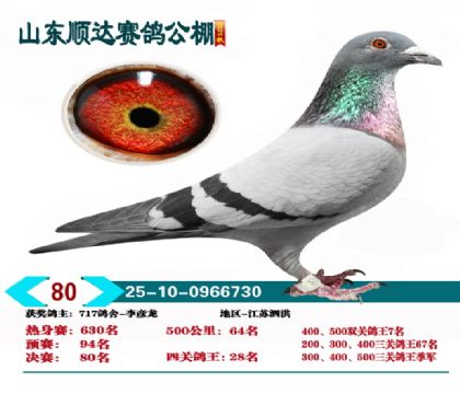 ˳�����80��