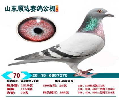 ˳�����70��