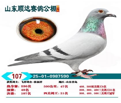 ˳�����107��