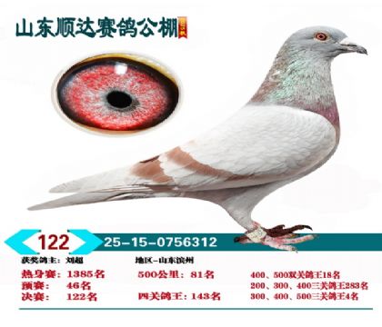 ˳�����122��