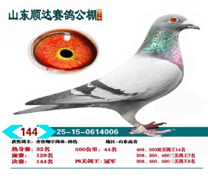 ˳���Ĺظ����ھ�