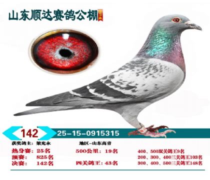 ˳�����142��