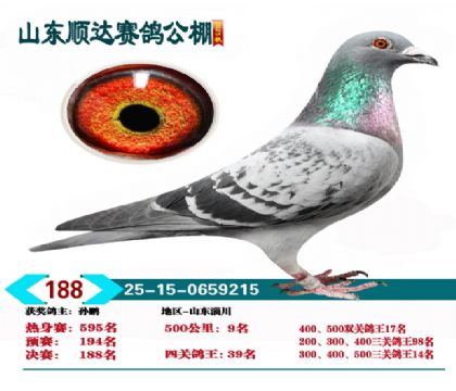 ˳�����188��