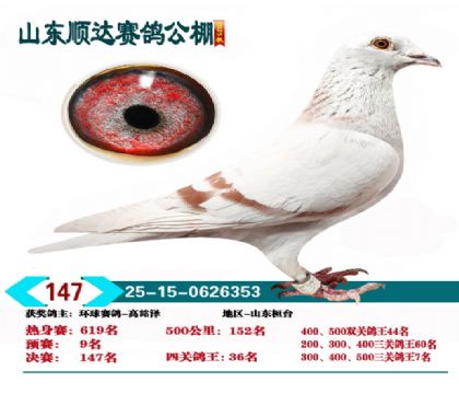 ˳�����147��